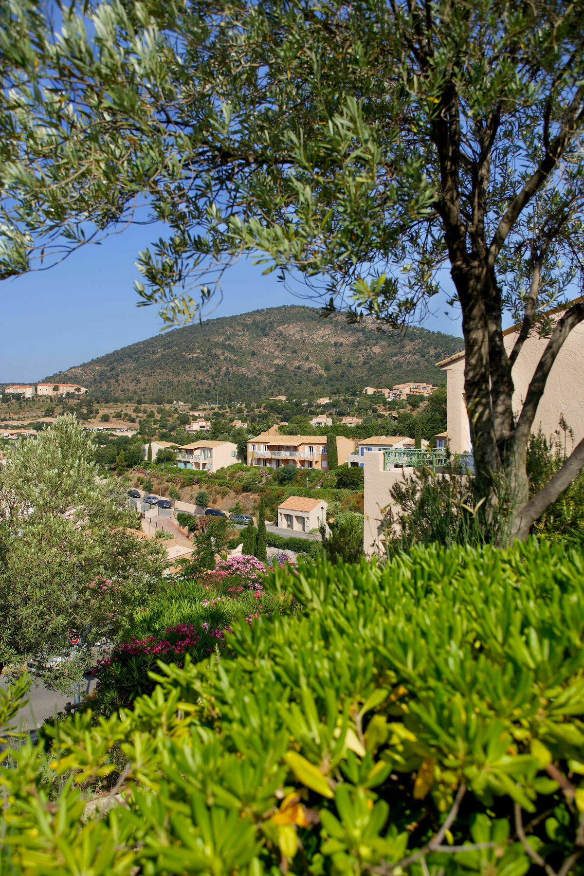 Residence Pierre & Vacances Les Terrasses Des Issambres Les Issambres Eksteriør bilde